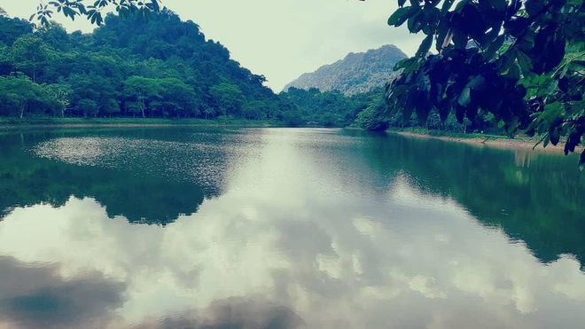 Ho Mac in Cuc Phuong Ho Mac in Cuc Phuong