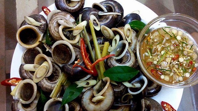 Oc nui Ninh Binh (mountain snail) Oc nui Ninh Binh (mountain snail)