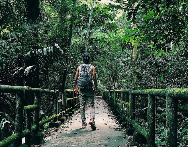 visit Cuc Phuong National Park visit Cuc Phuong National Park