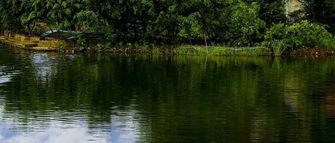 Ninh Binh daily tours