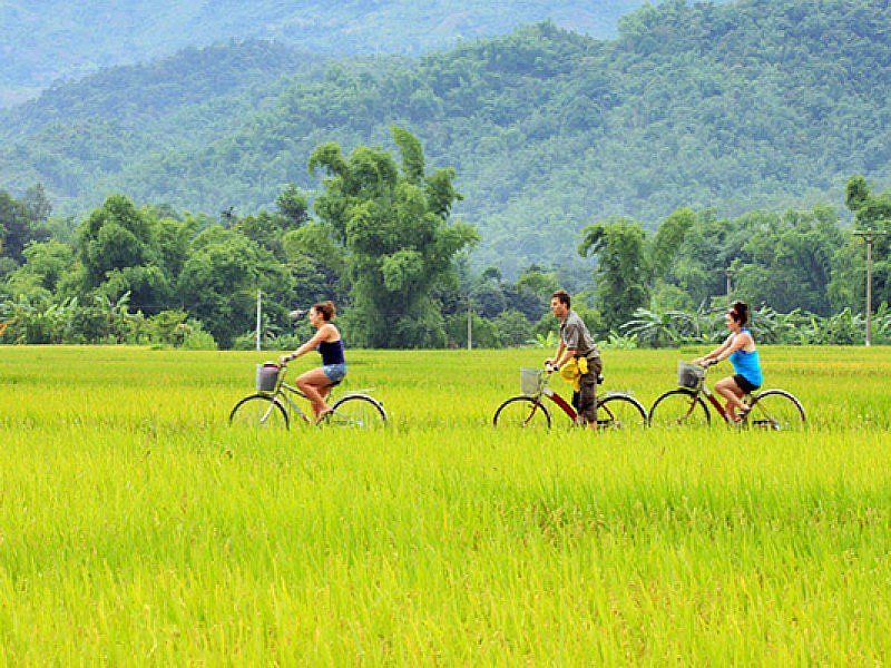 ninhbinhvietnam16.jpg