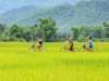 ninhbinhvietnam16_small.jpg